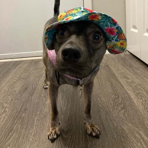 Share Show Notifications ☕️ ☀️ 🫶 - Picture 7 of 7